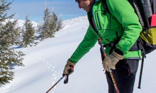De pas en pattes au Mont-Dore, randonnée accompagnée