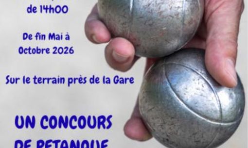 Concours de pétanque