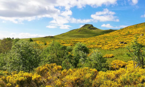 Activités des Guides Pavin Sancy - Accompagnateurs en montagne