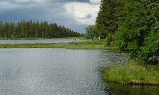 Découverte du lac Servières, randonnée accompagnée avec chauffeur