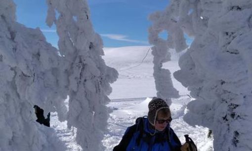 Découverte du massif, randonnée accompagnée hivernale