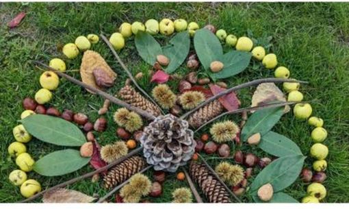 Atelier créatif : créature de la nature