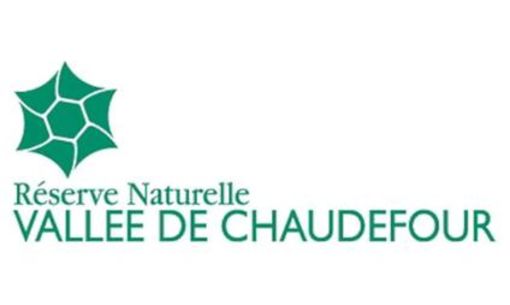 Journée mondiale des serpents avec l'Observatoire des reptiles d'Auvergne