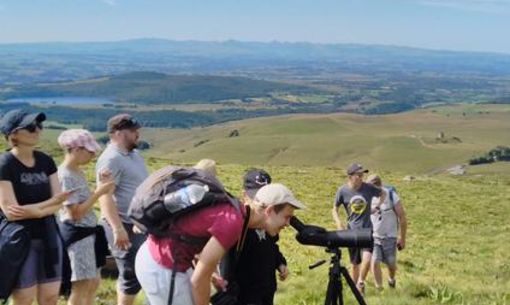 La faune de montagne, randonnée accompagnée