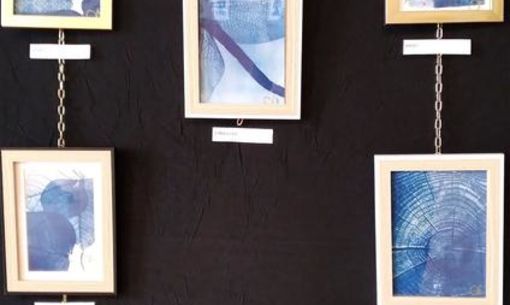 Exposition : cyanotypes de l'Orée Bleue