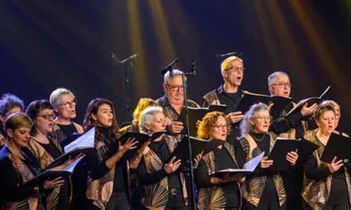 Concert: Volcalise
