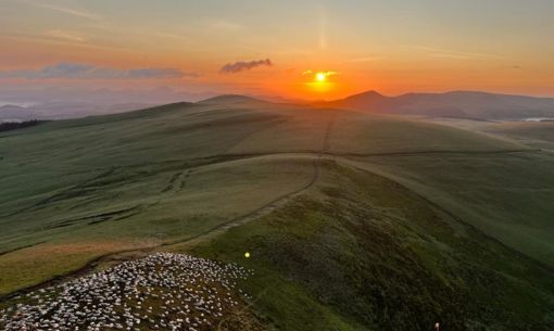 Parcours découverte Sancy Tour N°2 - Le chemin de l'estive ovine