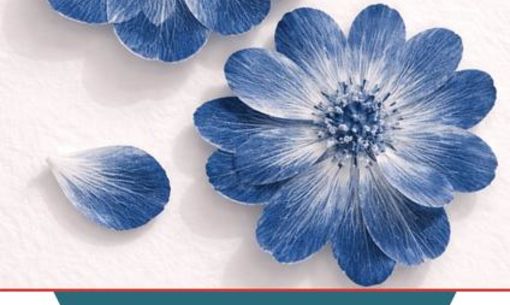 Atelier Plein La Bobine : Du bleu sur mes chaussettes