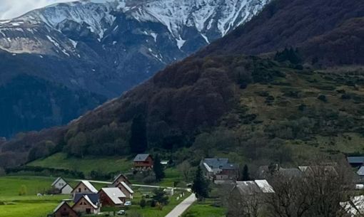 Chalet les mouflons