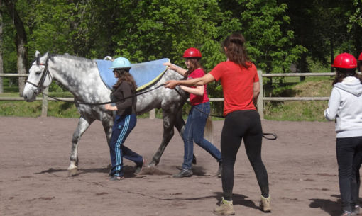 Activités des Écuries de la Dordogne