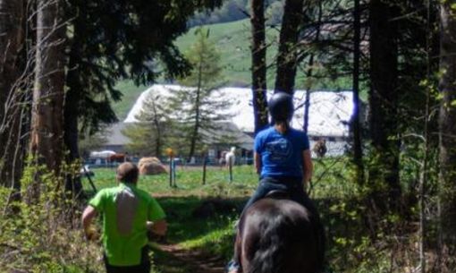 Pertuyzat Ride N Run