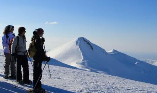 Sancy nature sauvage : randonnée accompagnée 
