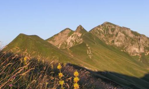 La panoramique sur les crêtes, randonnée accompagnée