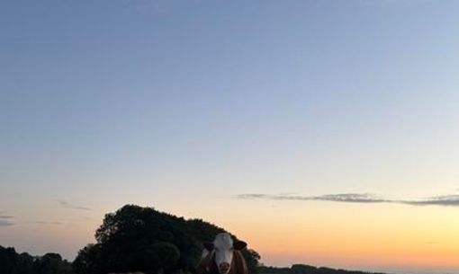 La magie de la nuit, randonnée accompagnée avec casse-croûte local