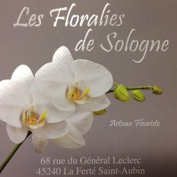 fleuriste-la-ferte-saint-aubin-les-floralies-de-sologne-carte