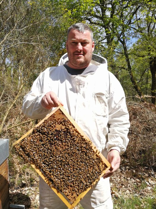 producteurs-regionaux-la-ferte-saint-aubin-les-ruches-royales-apiculteur