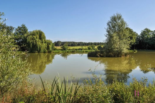 Communal pond at Ardon route d'Olivet