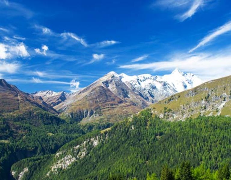 Le Mouflon, 