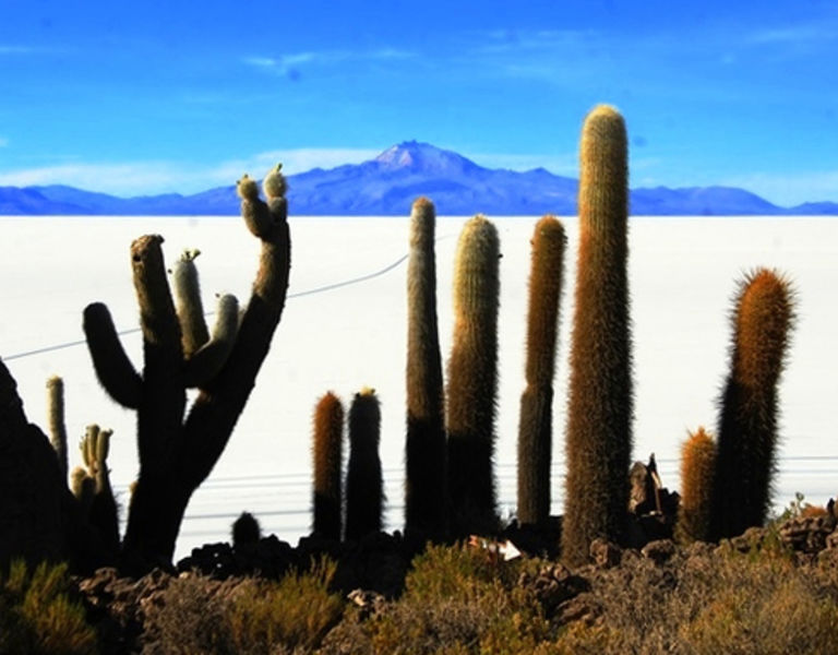 terres des andes, 