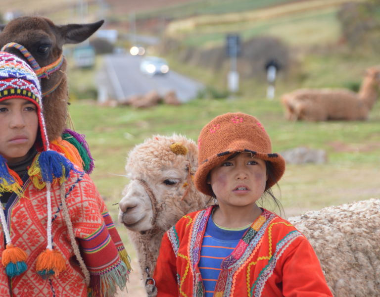 terres des andes2, 