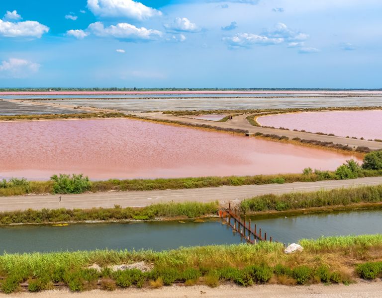 Marais salants, 