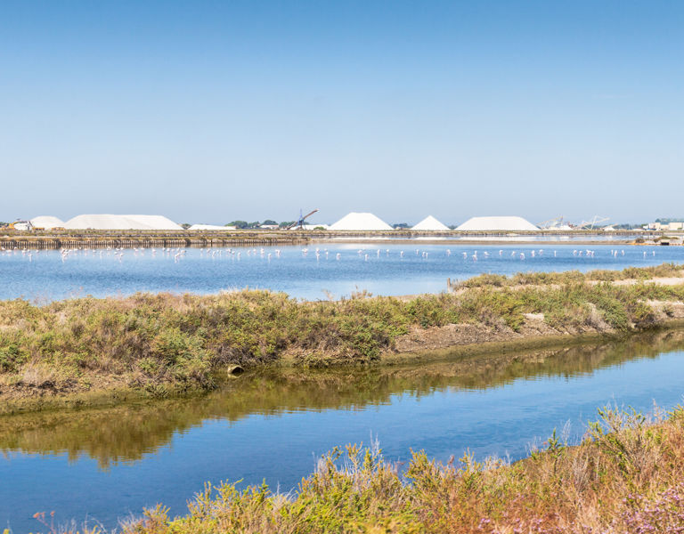 Marais salants, 