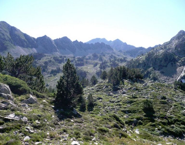 Campana de cloutou - La Couradette, 