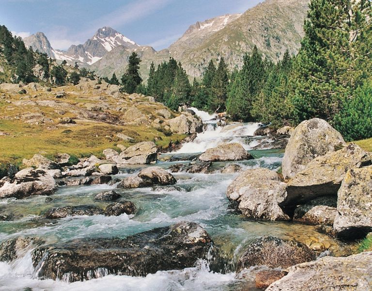 Le Gave des Pyrénées, 
