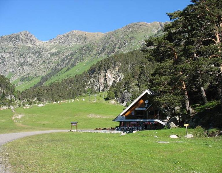 Refuge 2, 